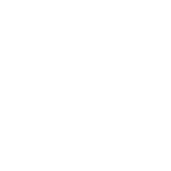 SEO Services