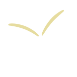 Seedling