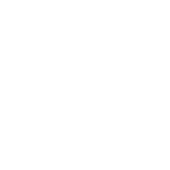 brain