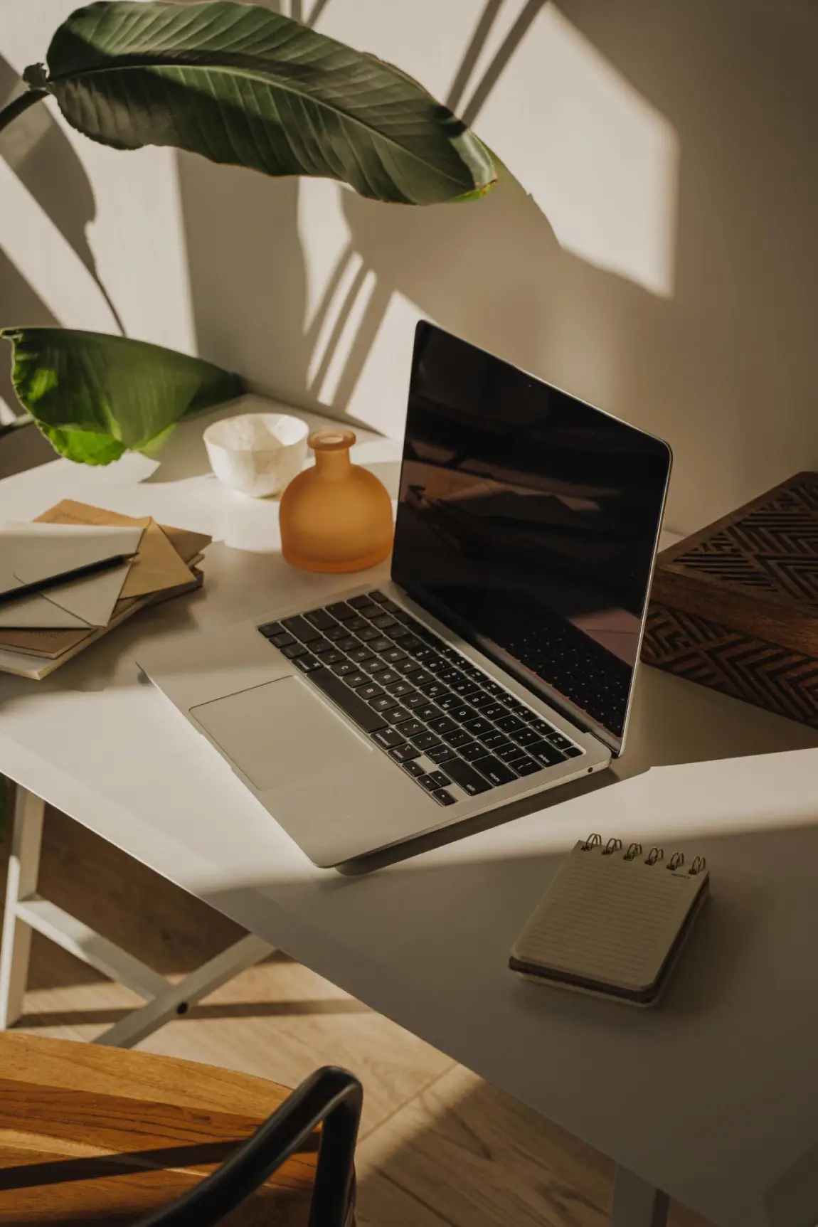 case-study-Seo