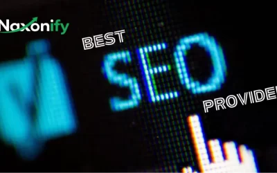 The Evaluation Architecture: Selecting a Top-Tier White Label SEO Provider Safely