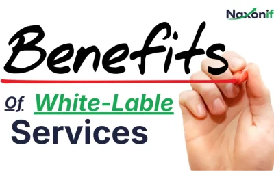Unlocking Uncapped Scale: The Strategic Benefits of White Label SEO Services